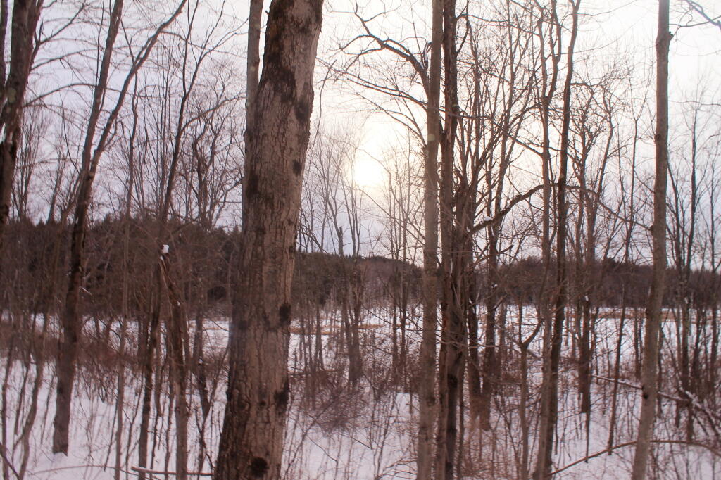 Photo: Photo.2014.02.08 18.21.02