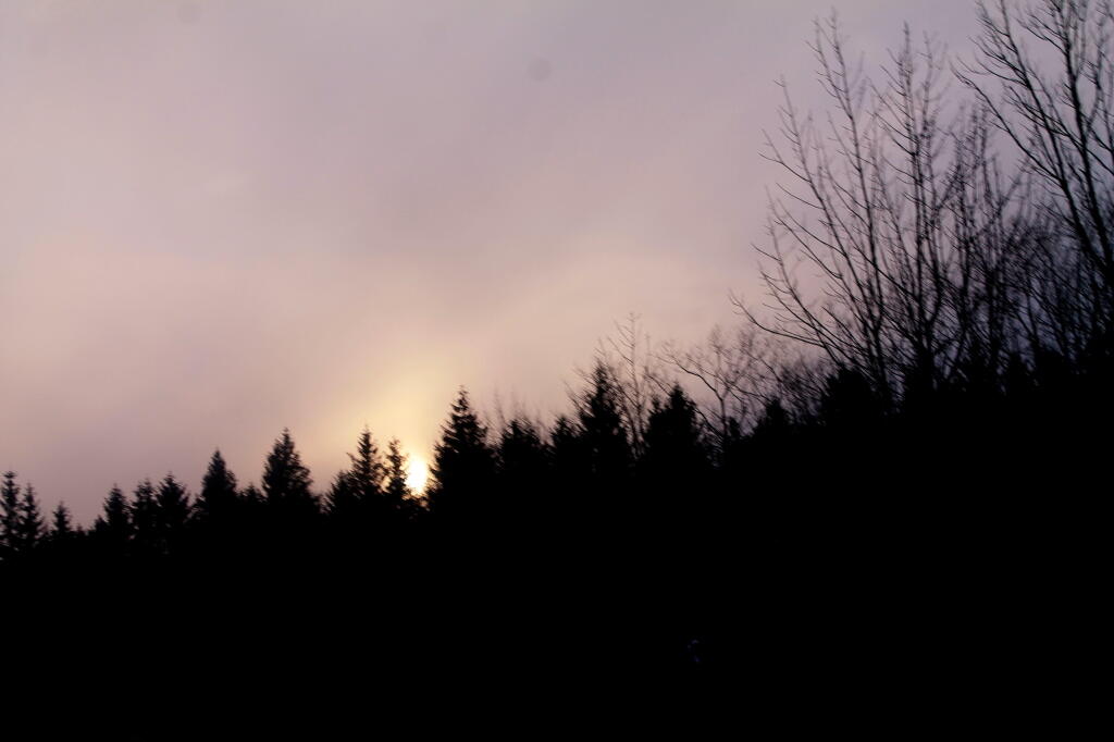 Photo: Behind the Trees