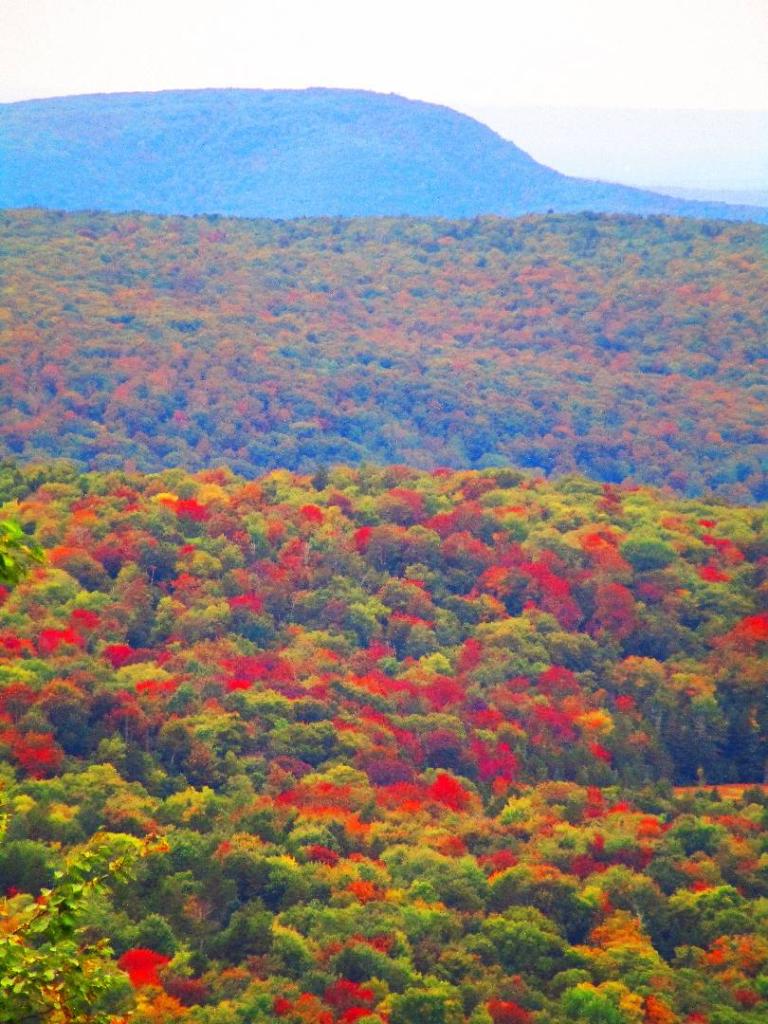 Photo: Harmon Hill from Prospect Mountain