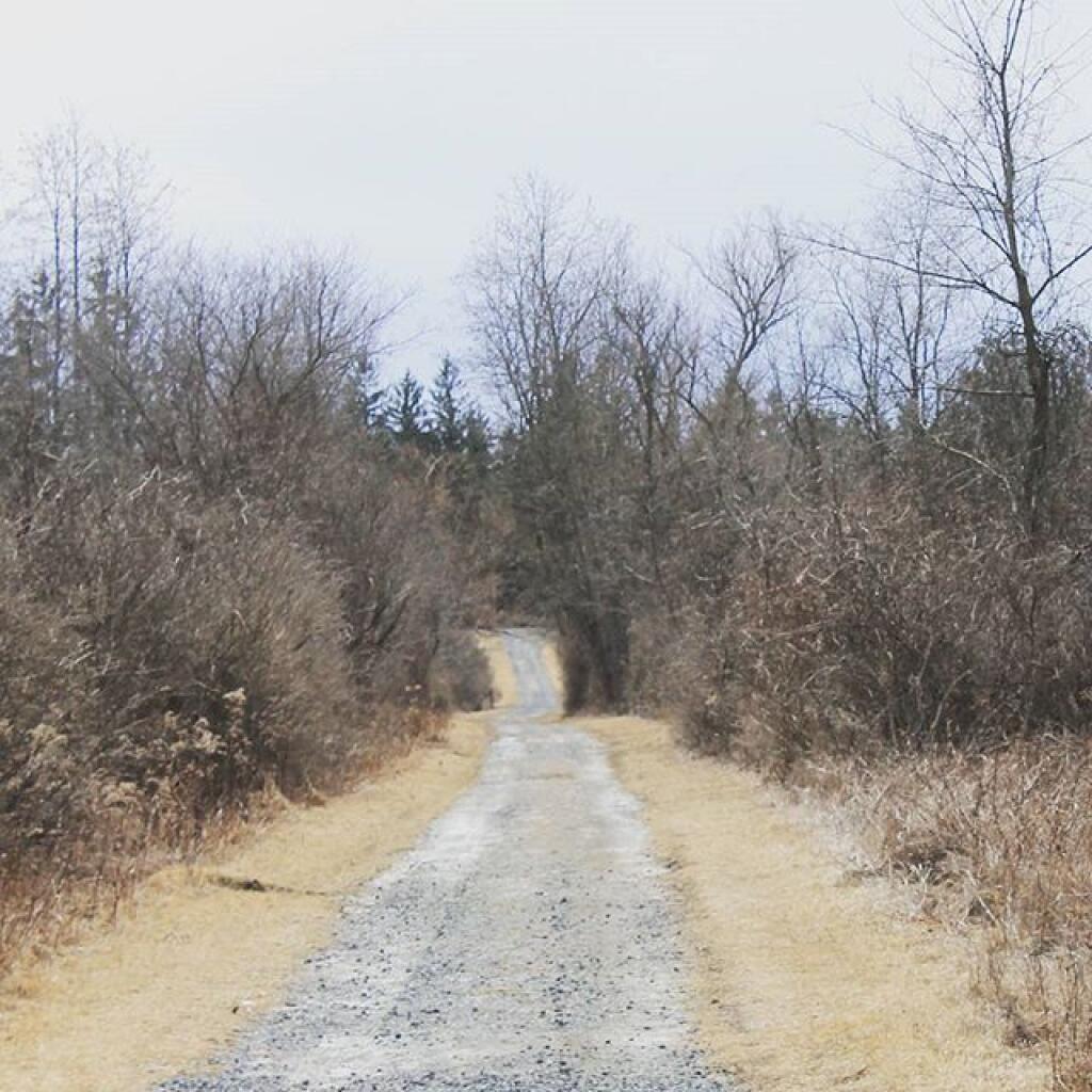 Photo: Access road