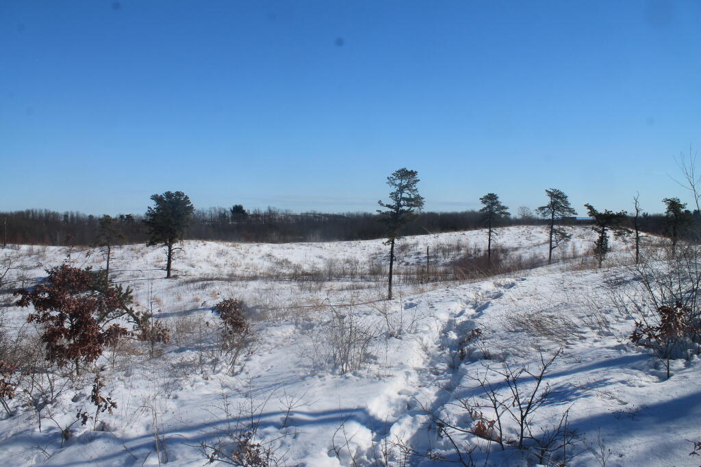 Photo: Across Blueberry Hill