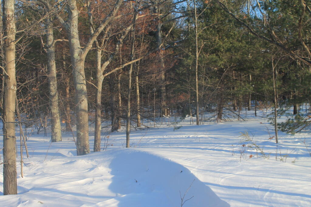 Photo: Deep Snow Up Top