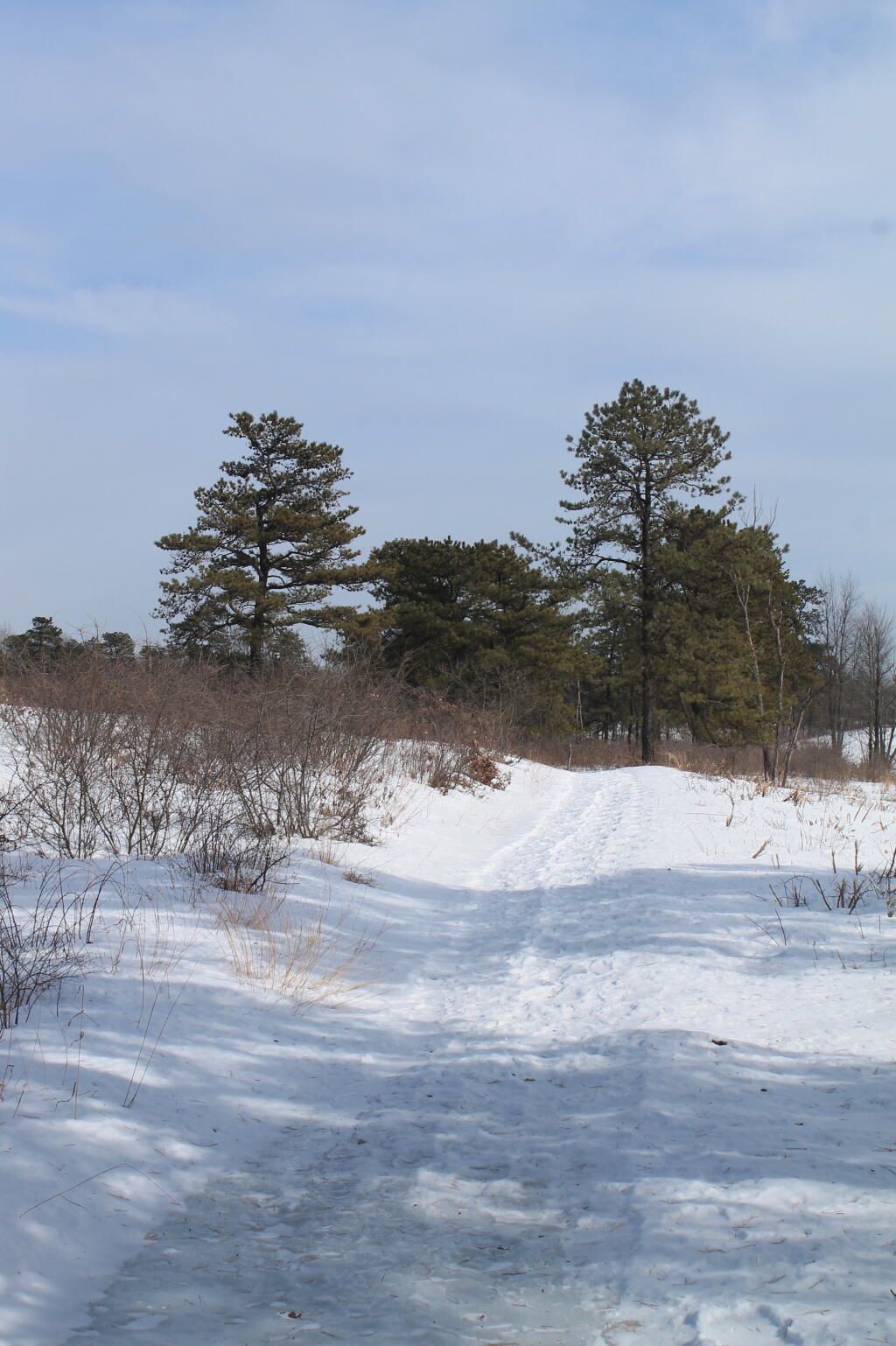 Photo: Truck Trail