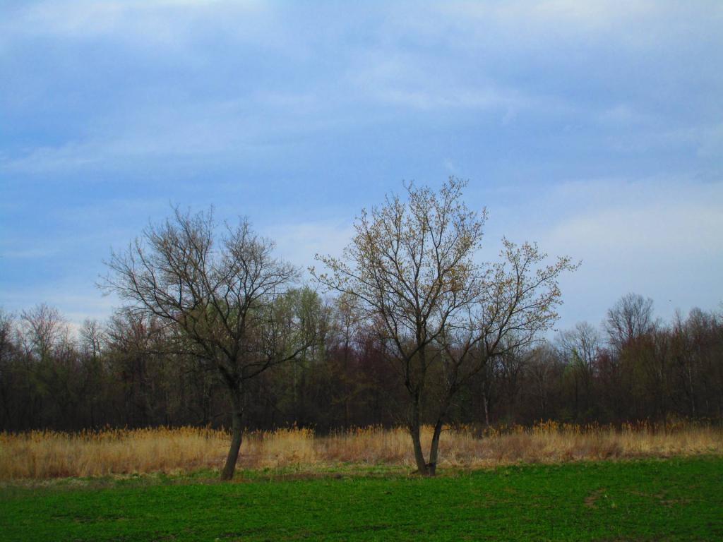 Photo: North