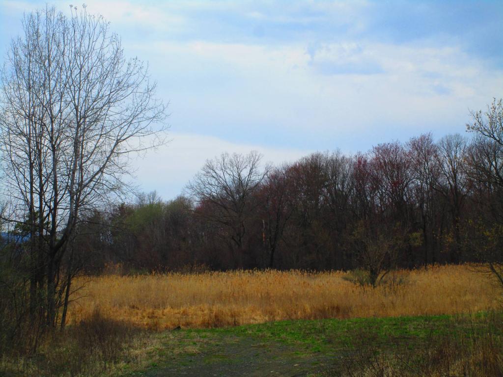 Photo: Open Area