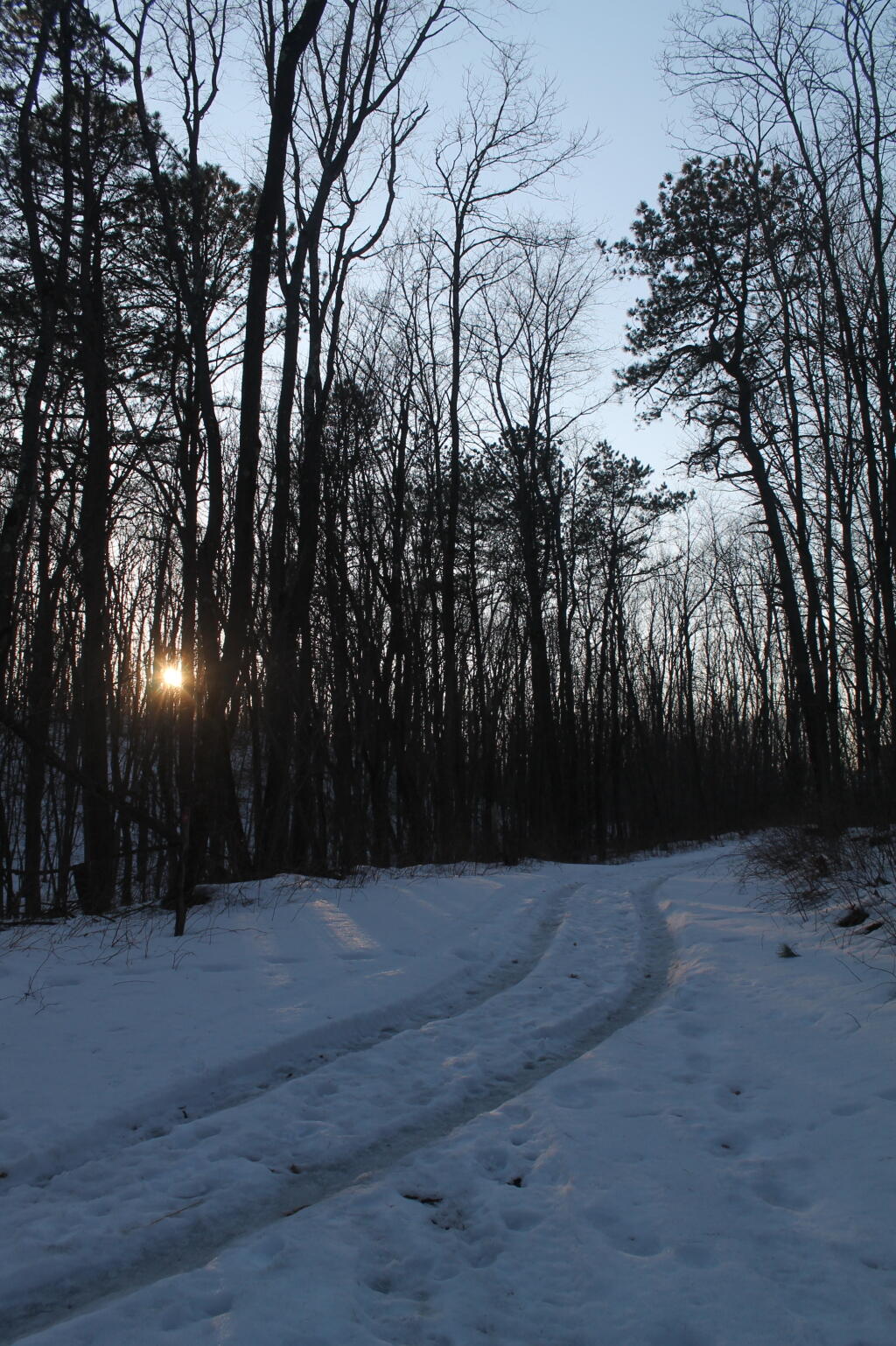 Photo: Tracks