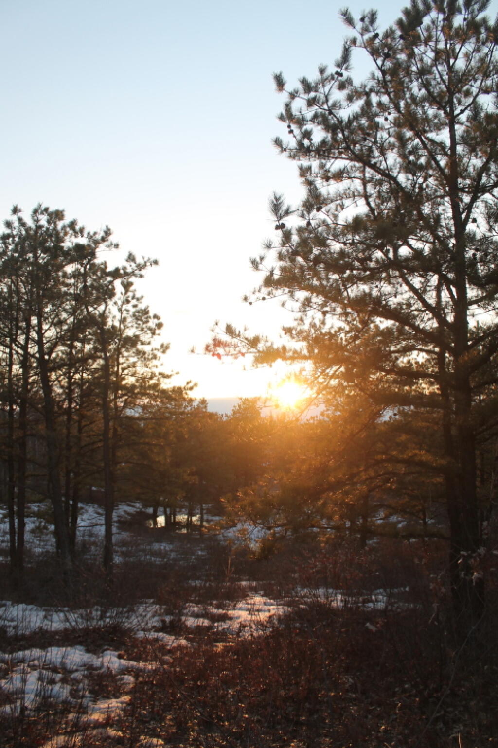 Photo: Setting Sun