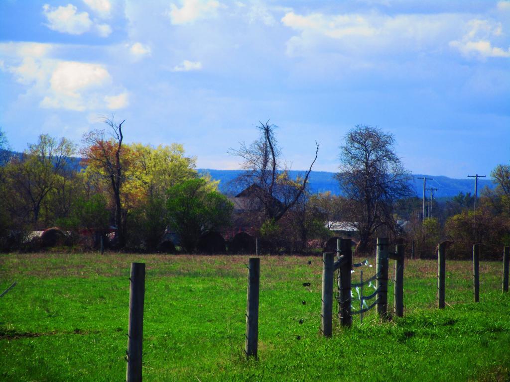 Photo: Meads Farm