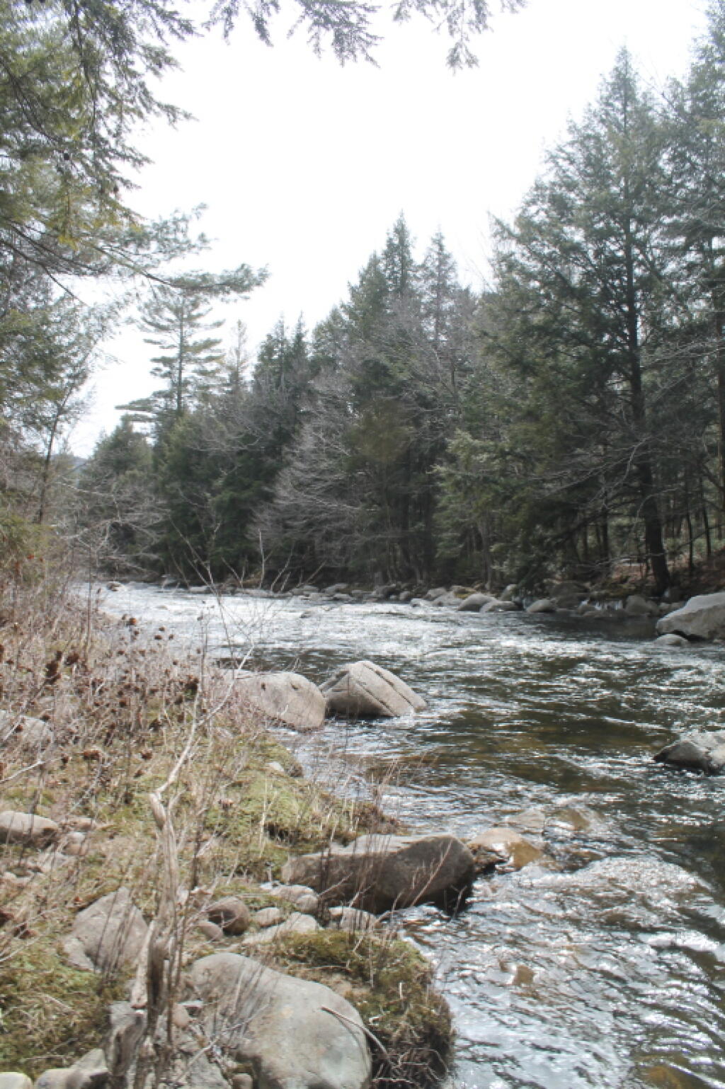 Photo: East Branch in the Clove