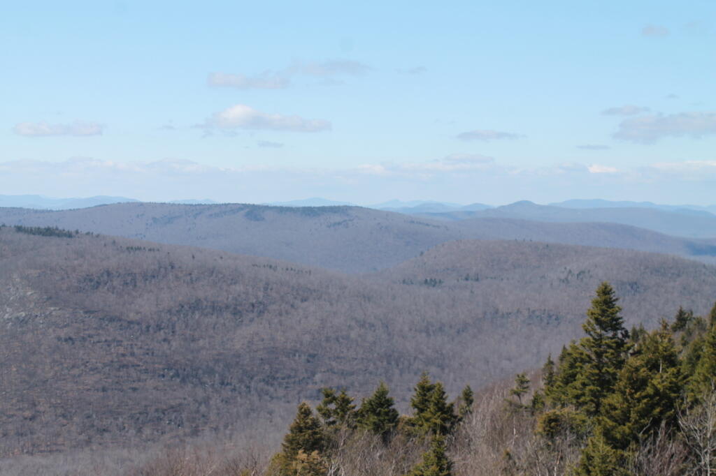 Photo: North from Firetower Photo: North from Firetower