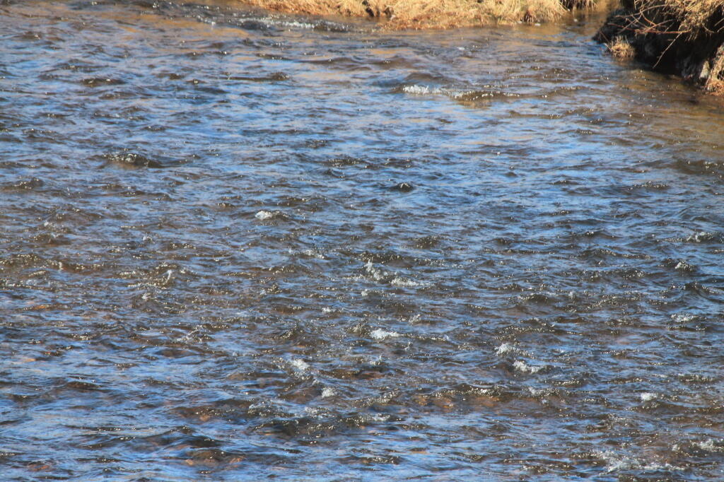 Photo: Looks Like Good Fishing