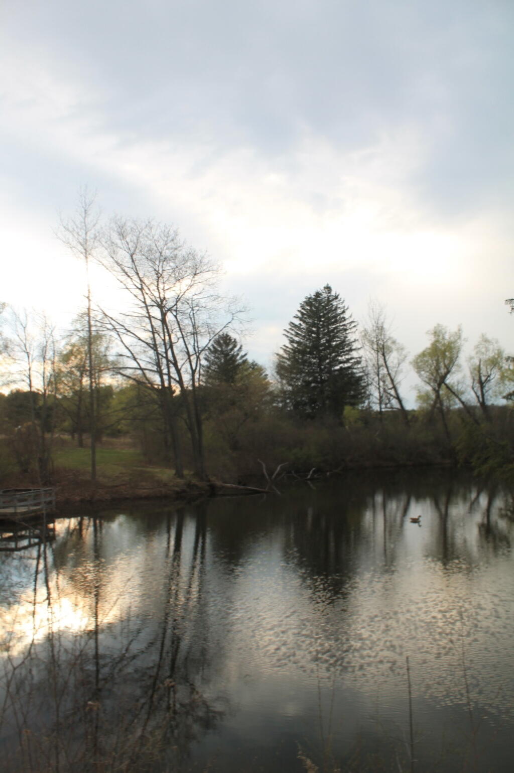 Photo: Pond in Early Springtime