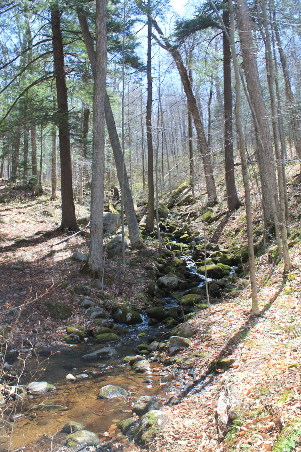 Photo: Unamed Brook on Kirby Pond Trail Photo: Unamed Brook on Kirby Pond Trail