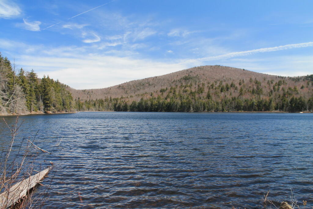 Photo: Kirby Pond Photo: Kirby Pond