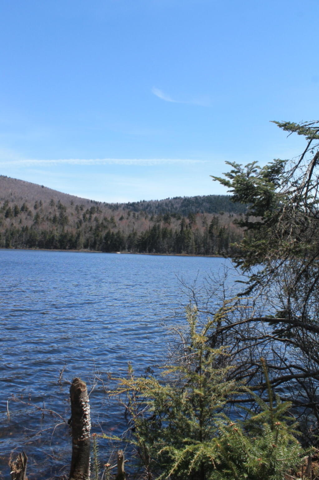Photo: Kirby Pond 2 Photo: Kirby Pond 2