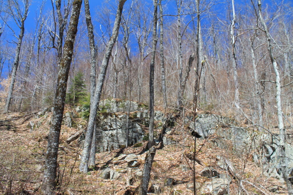 Photo: Ledge Above Kirby Pond Photo: Ledge Above Kirby Pond