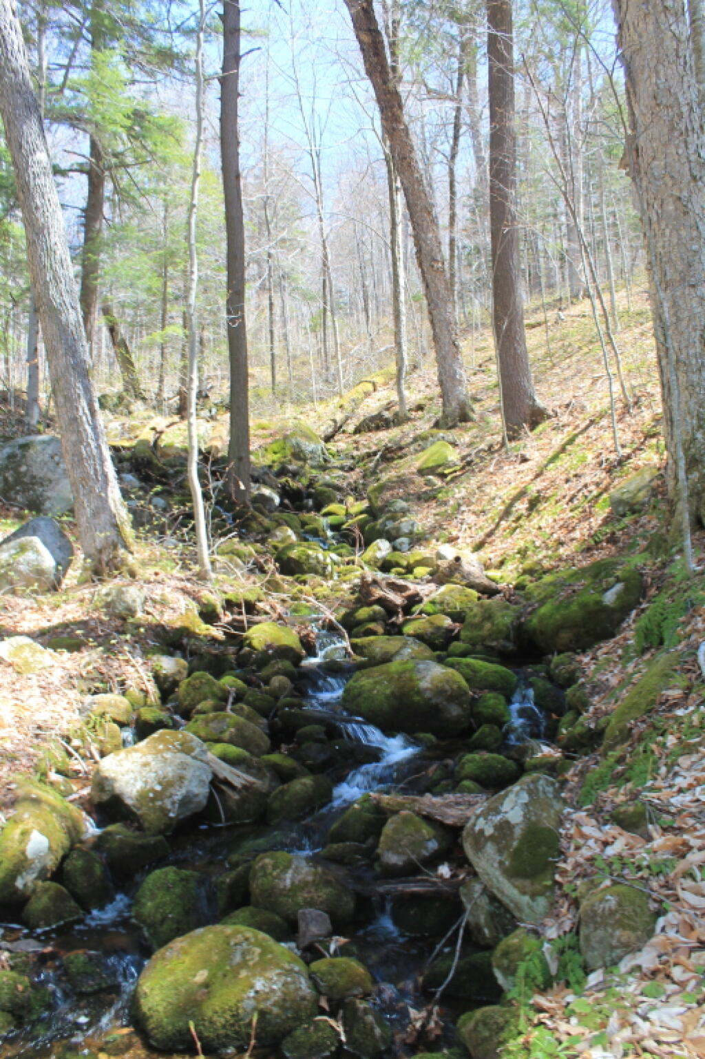 Photo: Another Waterfall Photo: Another Waterfall