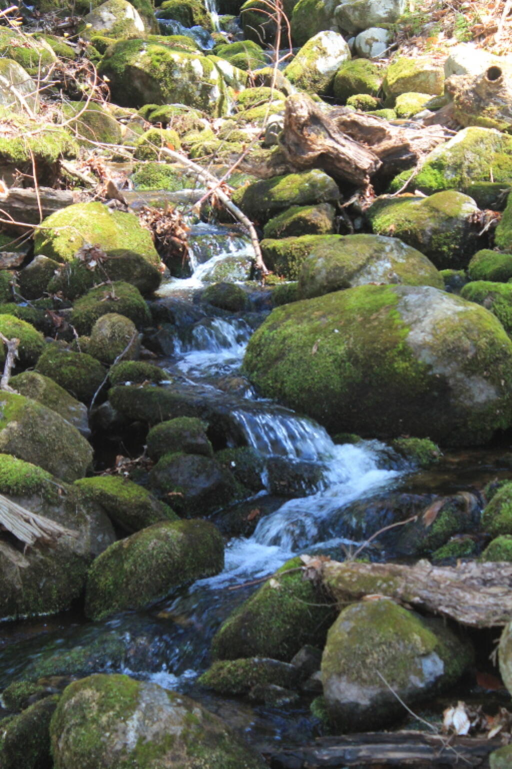Photo: Waterfall Along the Trail Photo: Waterfall Along the Trail