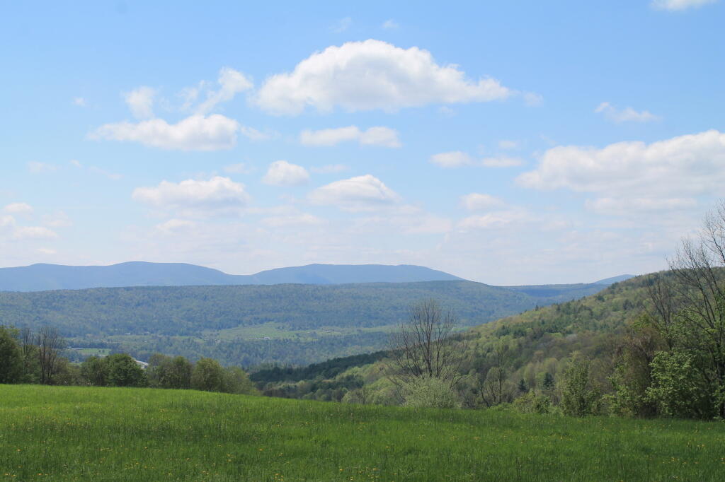Photo: Gorge Where Flat Creek Runs