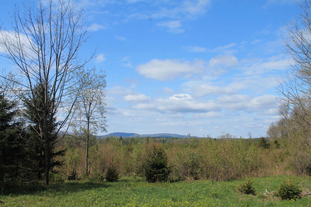 Photo: Spring Day on Burnt Hill