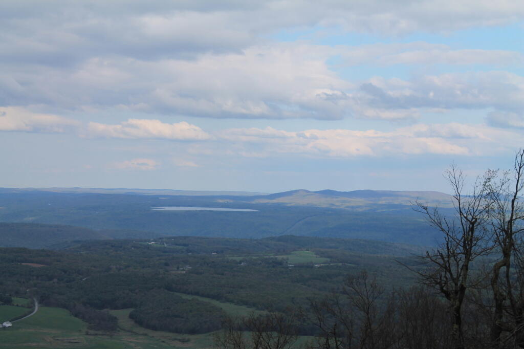 Photo: Toward Blenheim Power Project