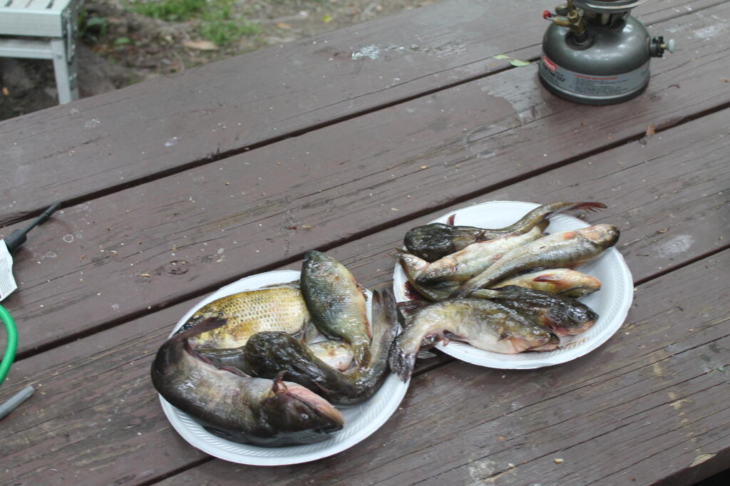 Photo: Been Fishing? Photo: Been Fishing?