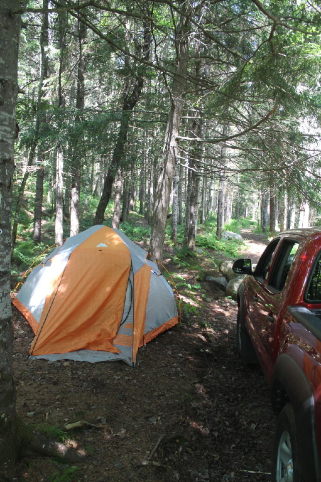 Photo: Tent Camping Along the East Branch