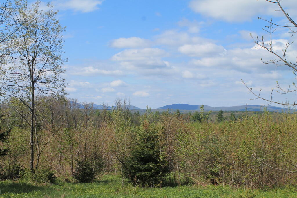 Photo: Another View from the Clear Cut