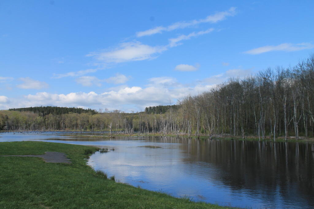Photo: Looking Glass Pond Is Full Again