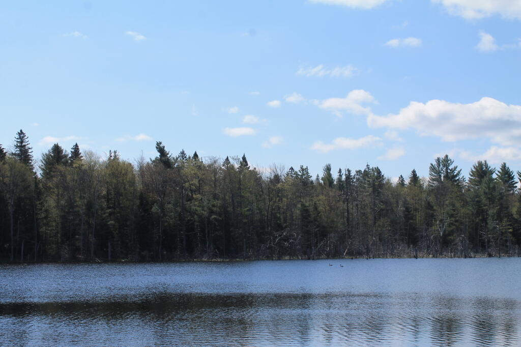 Photo: Time to Toss A Line In