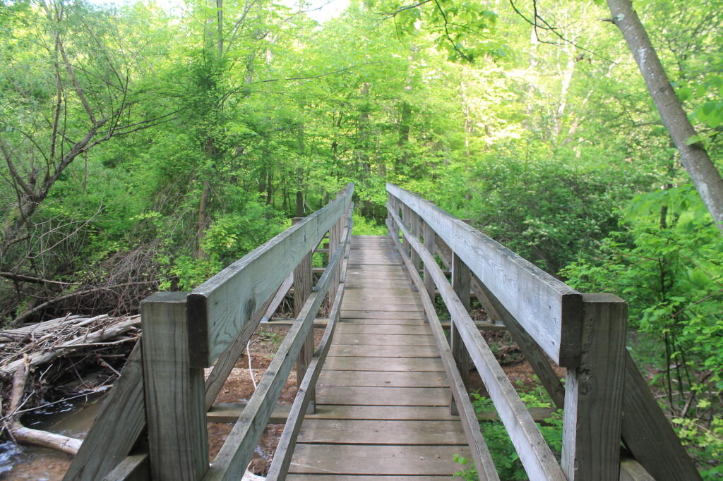 Photo: Bridge Across Canastota Creek