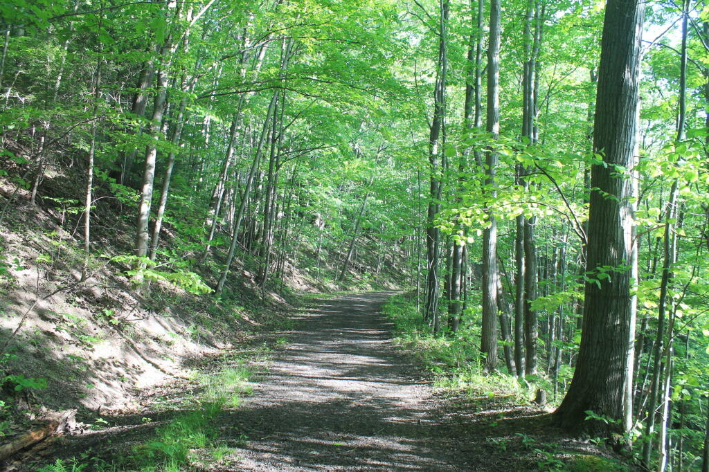 Photo: Old Canastota Railroad