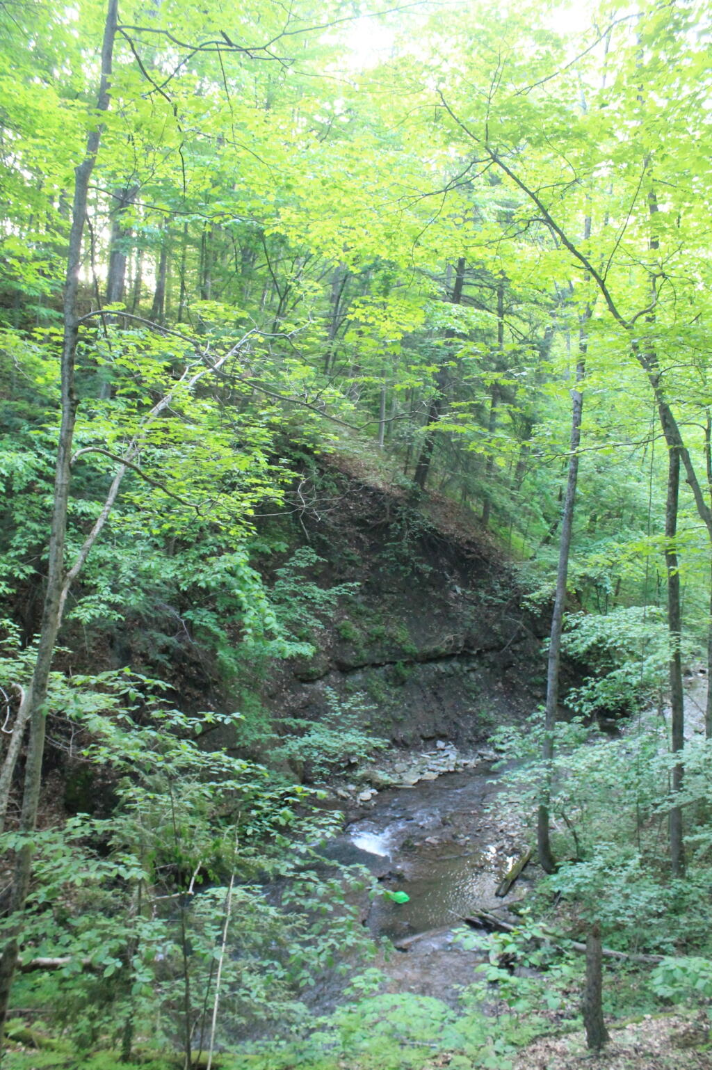 Photo: Canastota Creek Gorge from Railway