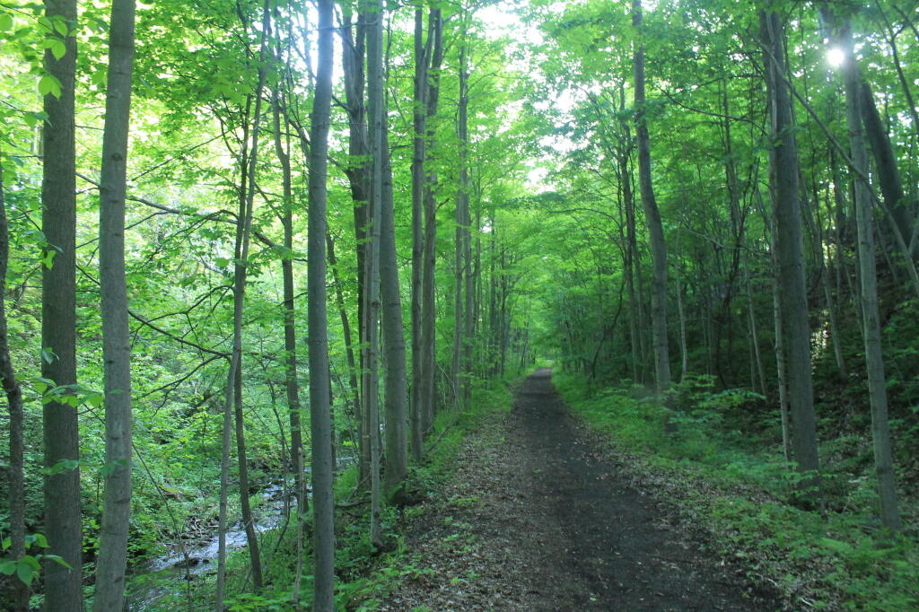 Photo: Trail Runs Close to Canastota Creek
