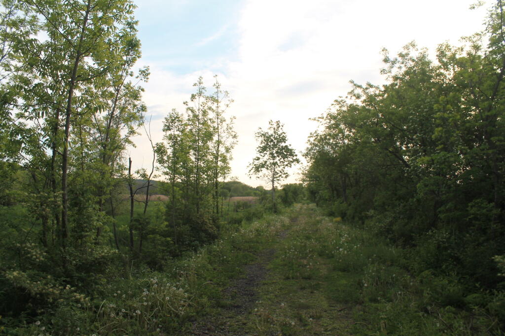 Photo: Trail Runs Between Farm Fields
