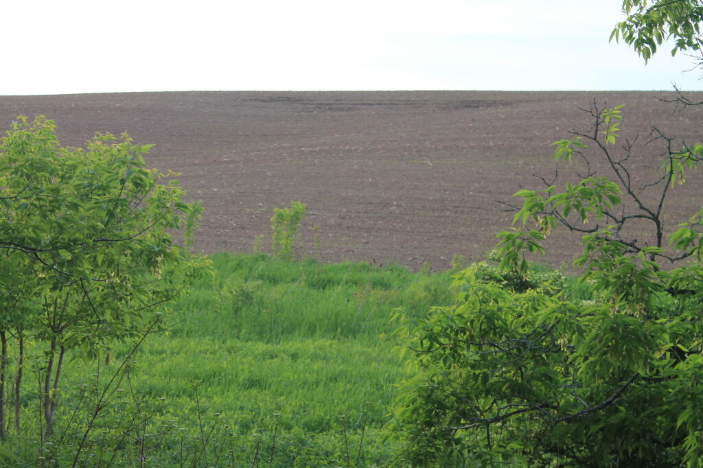 Photo: Farm Field Along the Trail