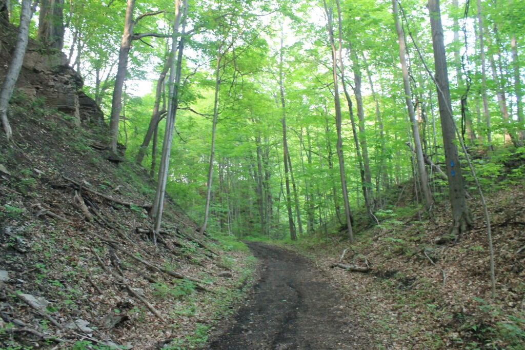 Photo: Old Railway Bed Cuts Through Gorge