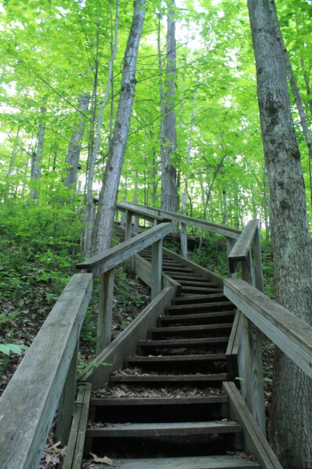 Photo: Stairway Out of Canastota Gorge