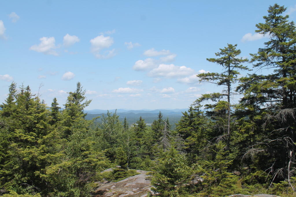 Photo: Northside of Mountain Is More Wild