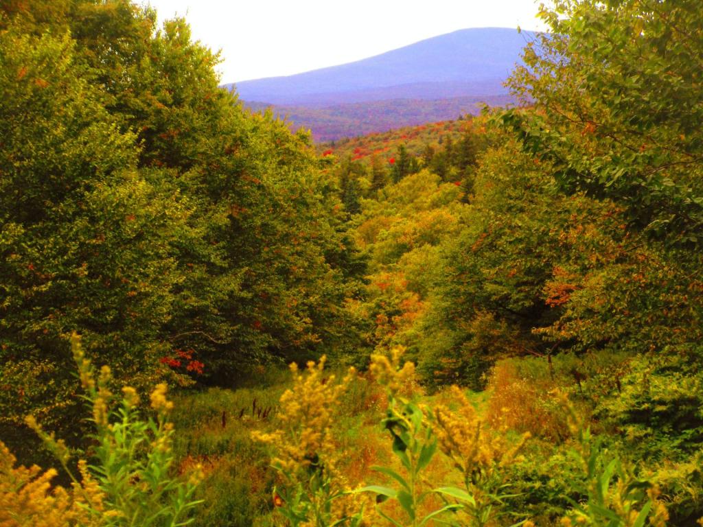Photo: Northeast [Expires October 6 2026]
