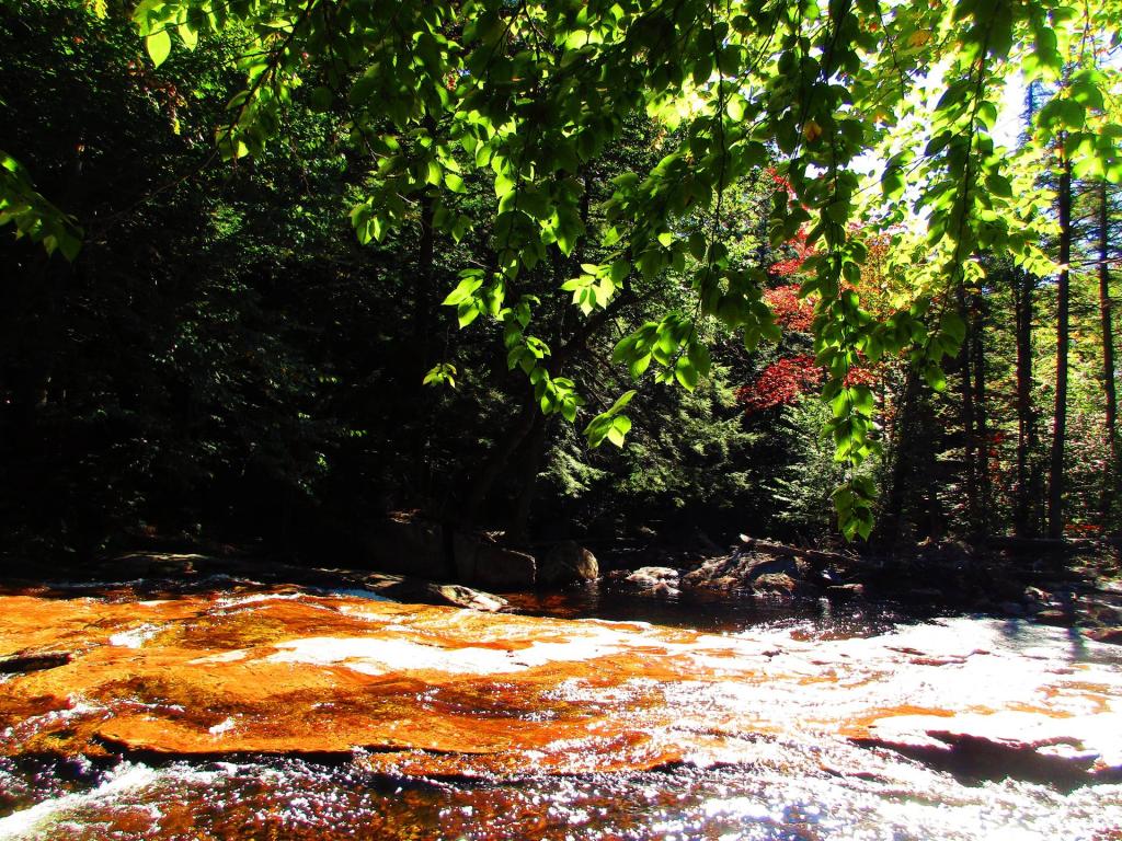 Photo: Goldmine Stream Falls
