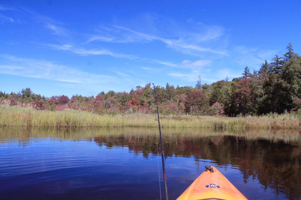 Photo: Nice Afternoon for Fishing