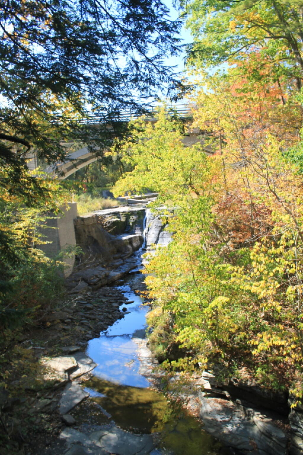 Photo: Bridge Over Mine Kill Falls Photo: Bridge Over Mine Kill Falls