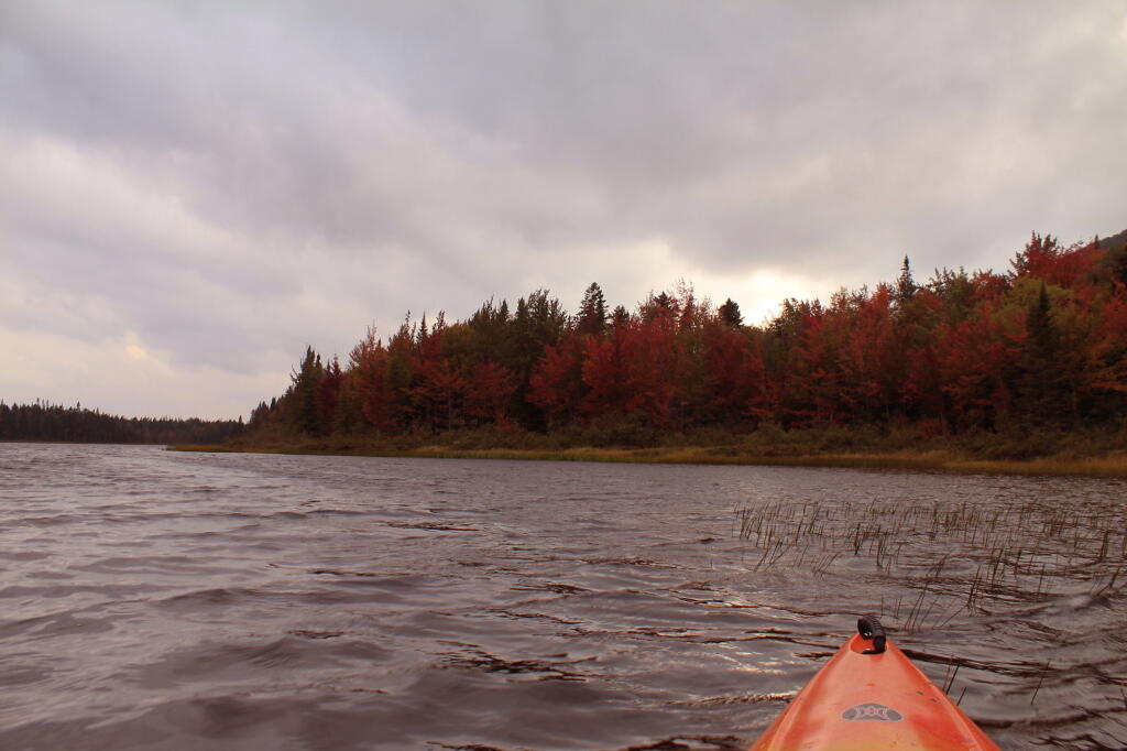 Photo: Paddling Out Along The Flow