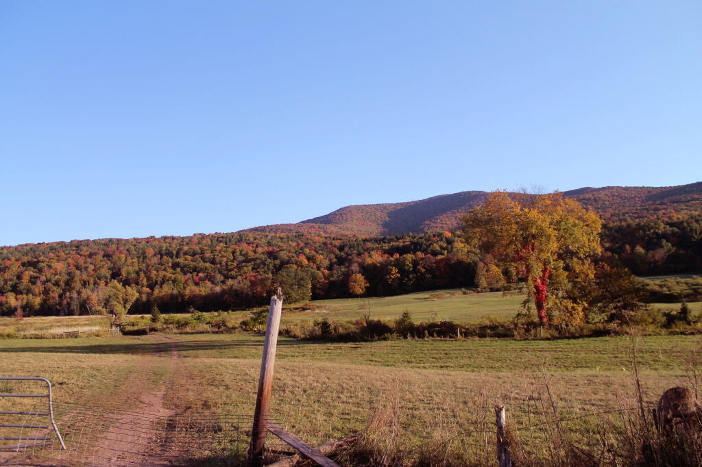 Photo: Field Along NY 990V