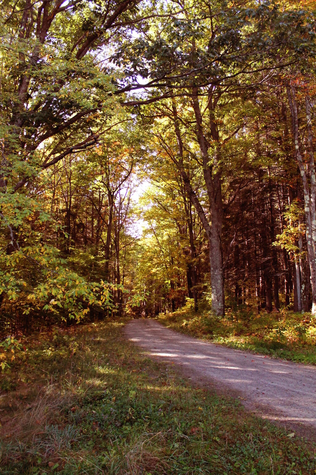 Photo: Duck Pond Road