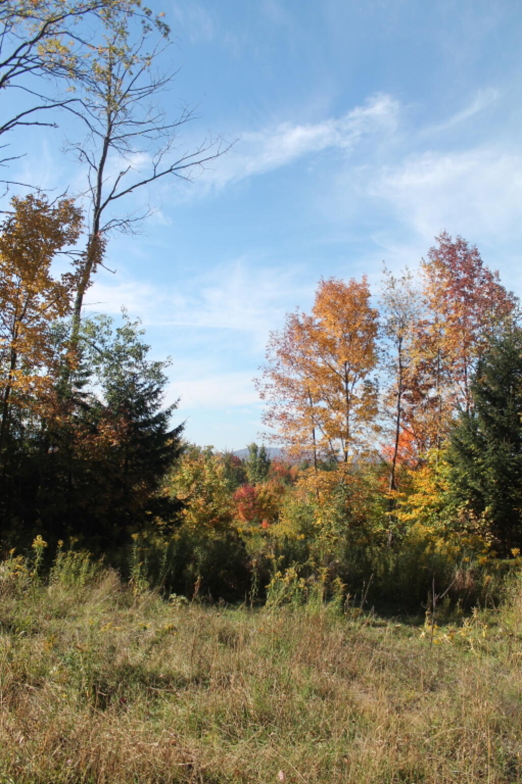Photo: Along Another Clearcut