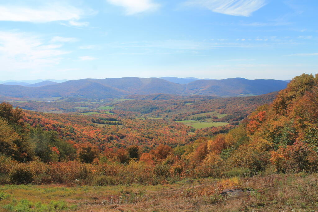 Photo: Township Valley