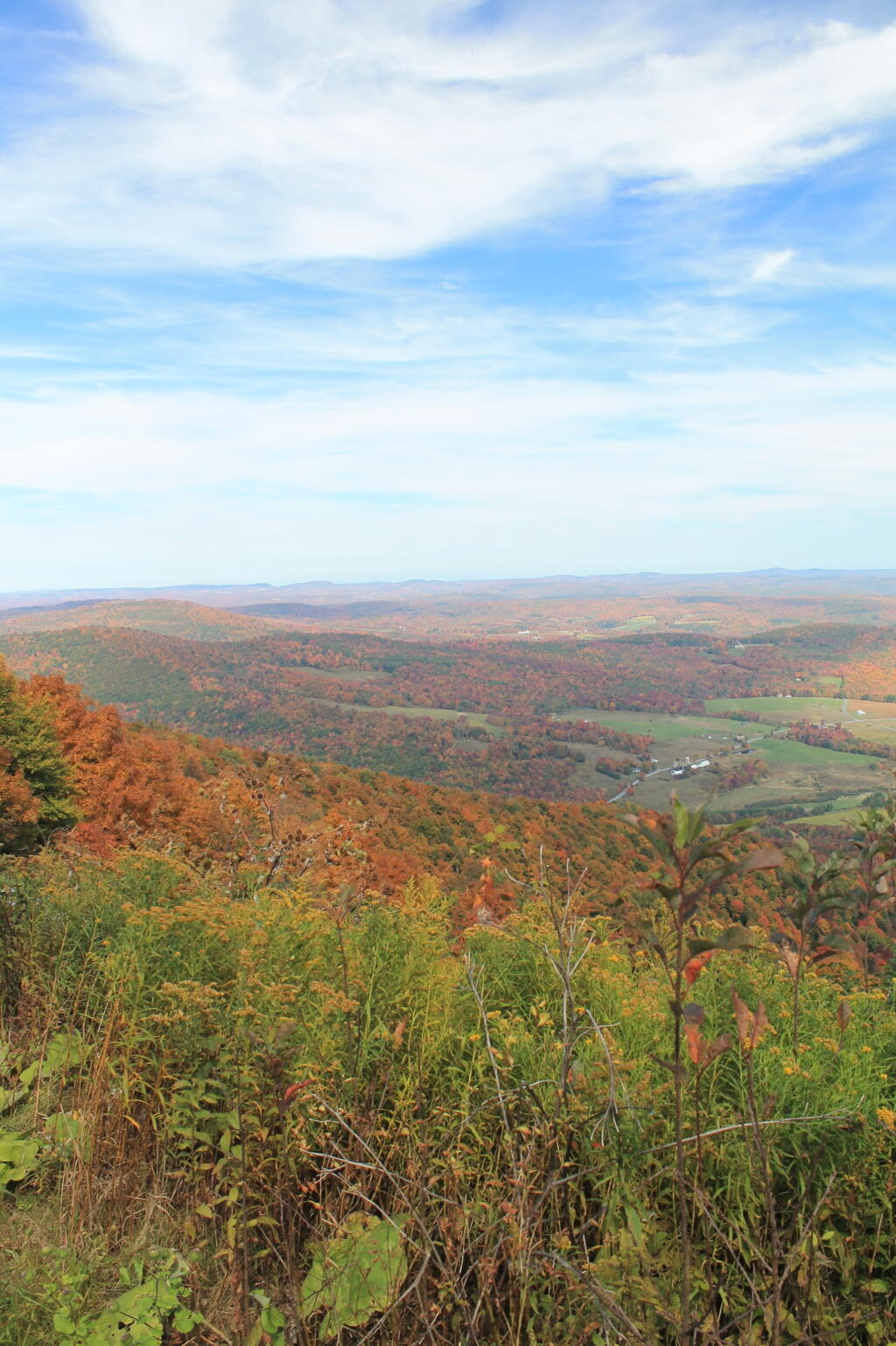 Photo: From the Clearing
