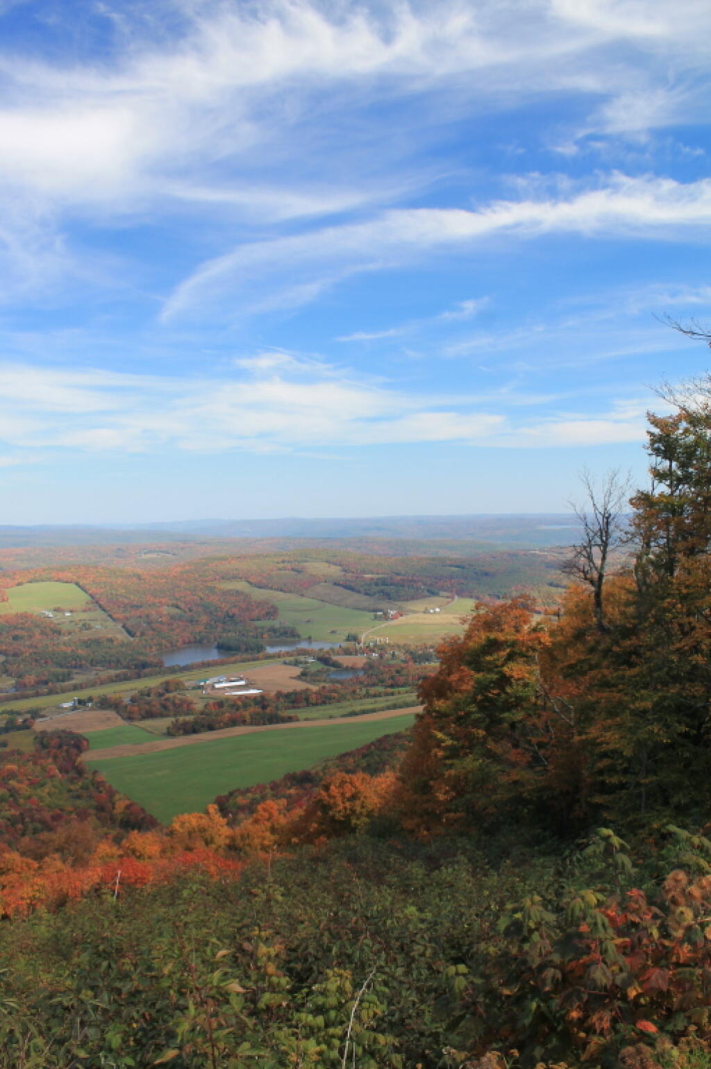 Photo: South Gilboa Valley